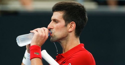 Doctors share truth about drink Novak Djokovic has every morning for health benefits