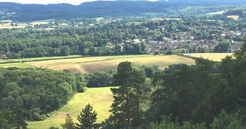 Denbies Hillside is a beautiful National Trust walk in Surrey with fantastic views