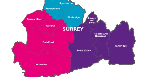 Don't punish 'well-run' Elmbridge by grouping it with debt-ridden neighbours through devolution warns council leader