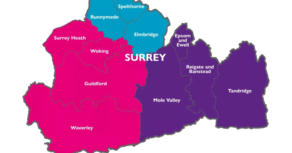Don't punish 'well-run' Elmbridge by grouping it with debt-ridden neighbours through devolution warns council leader