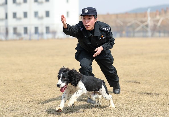 Police Dog Trained to Search for Explosives
