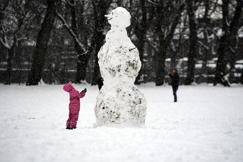 The Week in Weather