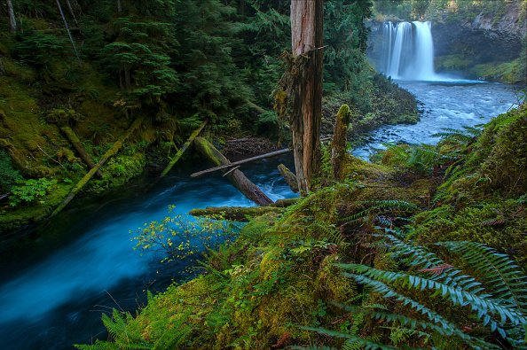 Falls on the McKenzie River, Willamette National Forest
