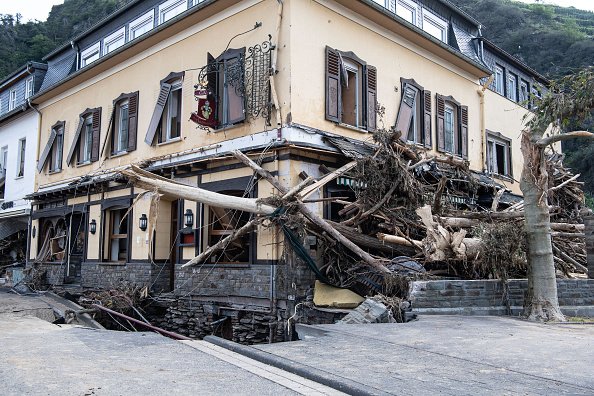 Tree penetrates building