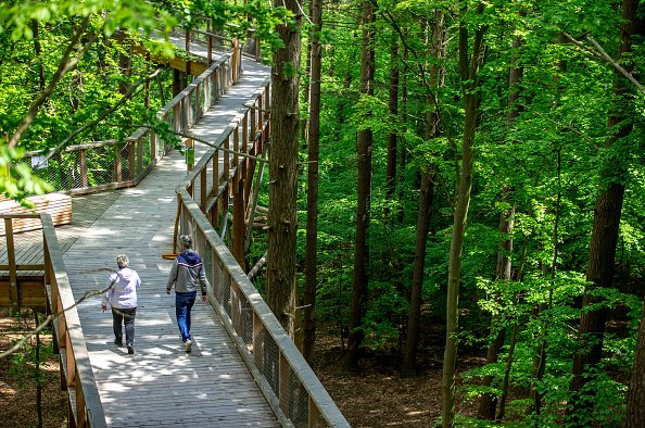Usedom treetop path in Germany