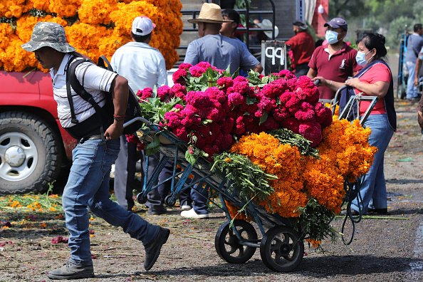 Salesman transports cempasuchil flowers ahead of Day of the Dead...