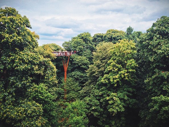 London's Royal Botanic Gardens