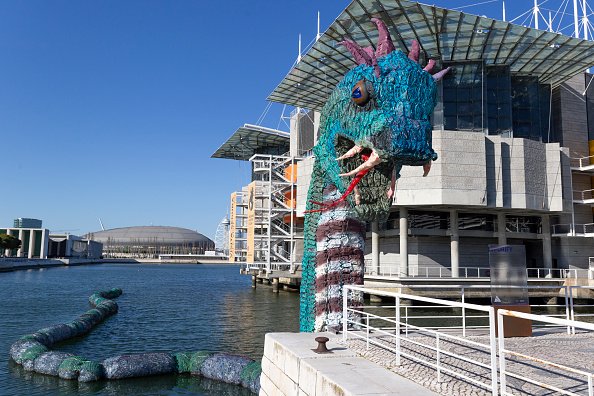 Lisbon's plastic marine monster
