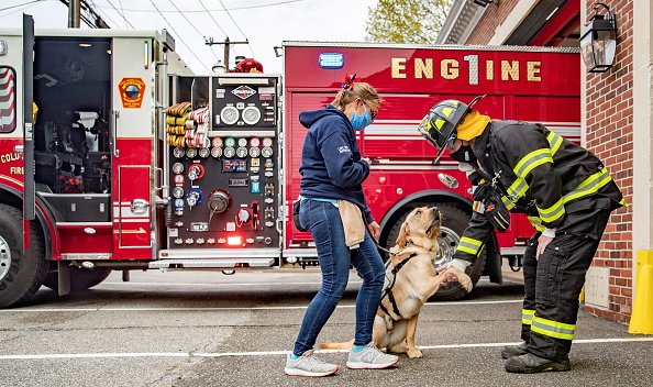 Trainer Introduces Service Dog to Firefighter