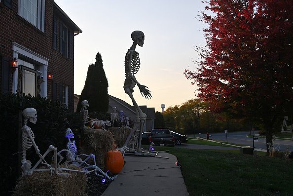 20 Herman the 12 foot tall skeleton stands quite tall amongst his...