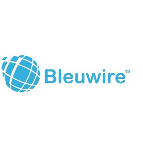 Bleuwire IT Services - YouTube