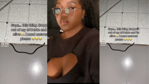 Baby snake comes from lady’s vayjayjay while on Tiktok live