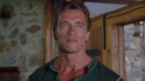 An Arnold Schwarzenegger Classic Is Blowing Up On Streaming