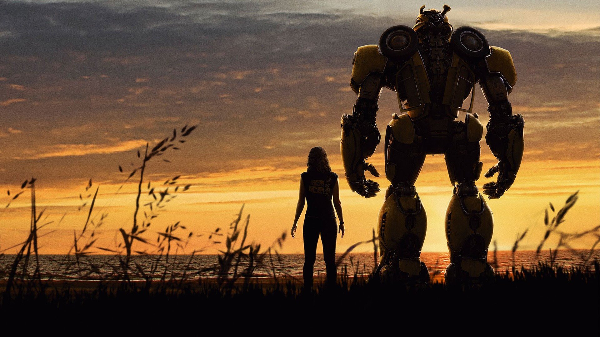 Bumblebee 2: How This Transformers Sequel Became Rise Of The Beasts