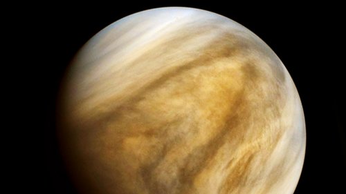 Signs Of Alien Life Found On Venus