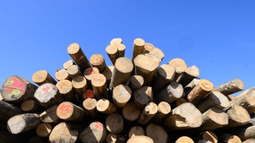 Mehr Holz wird verheizt: Das schadet Gesundheit und Umwelt