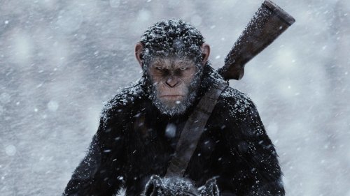 „Planet der Affen 4“: Erstes Bild und Titel zur Blockbuster-Fortsetzung mit „Witcher“-Star