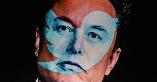 Twittern soll Geld kosten: Elon Musk bittet Nutzer zur Kasse
