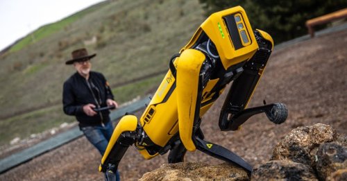 Grusel-Hund bei der Polizei: Erstes Bundesland setzt den Roboter ein