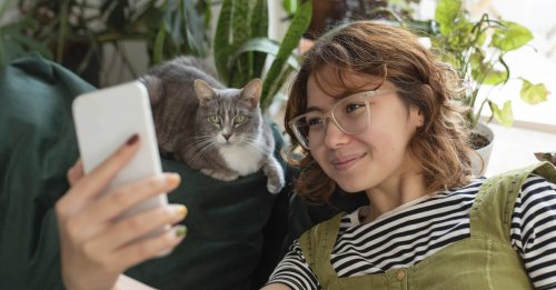 iPhone behält Haustiere im Blick: Das sind Apples Pläne