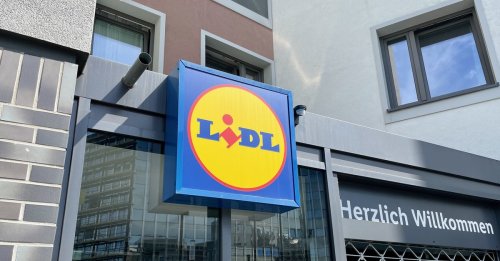 Ab heute bei Lidl: Die perfekte Alternative zur Fliegenklatsche – für 2,99 Euro