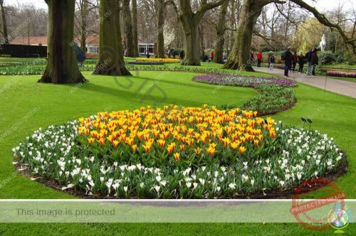 Cosa visitare nei Paesi Bassi in primavera