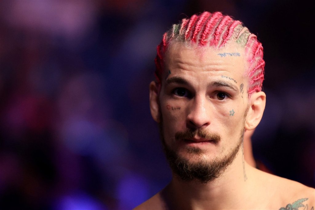 Sean O’Malley Next Fight When is his return to UFC? Flipboard