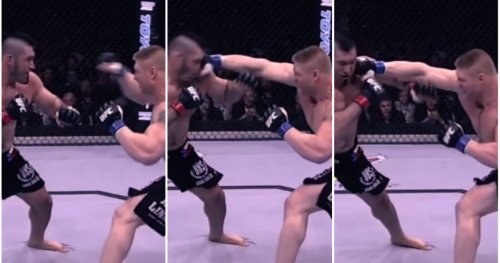 UFC & WWE legend Brock Lesnar's most brutal punch ever? Terrifying slow-mo footage