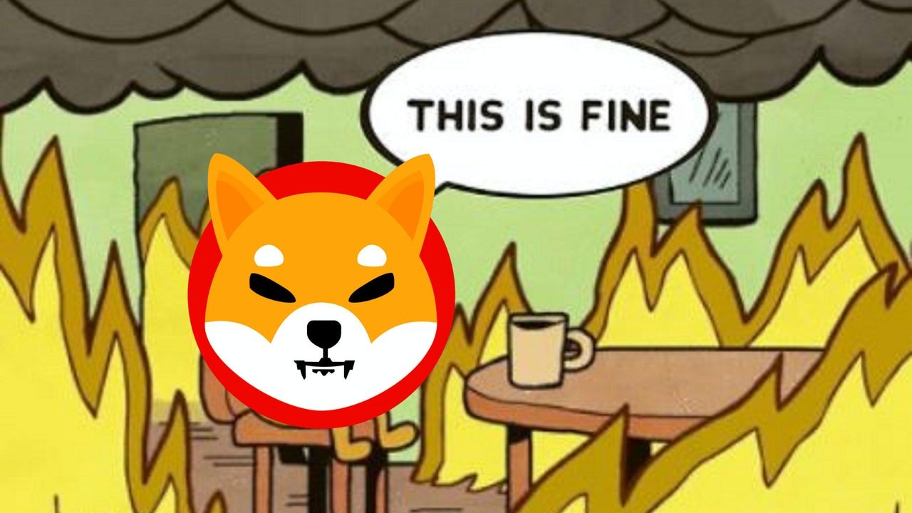 Vnj6gazfzadopm