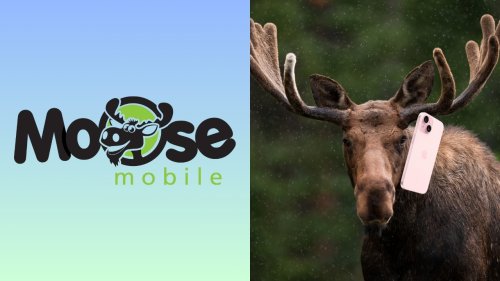 Moose’s Mobile Deals Have Some Hard to Ignore Dollar-To-Data Value
