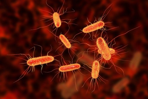 Scientists May Have Figured Out Why Young People Are Getting Colorectal Cancer More Often