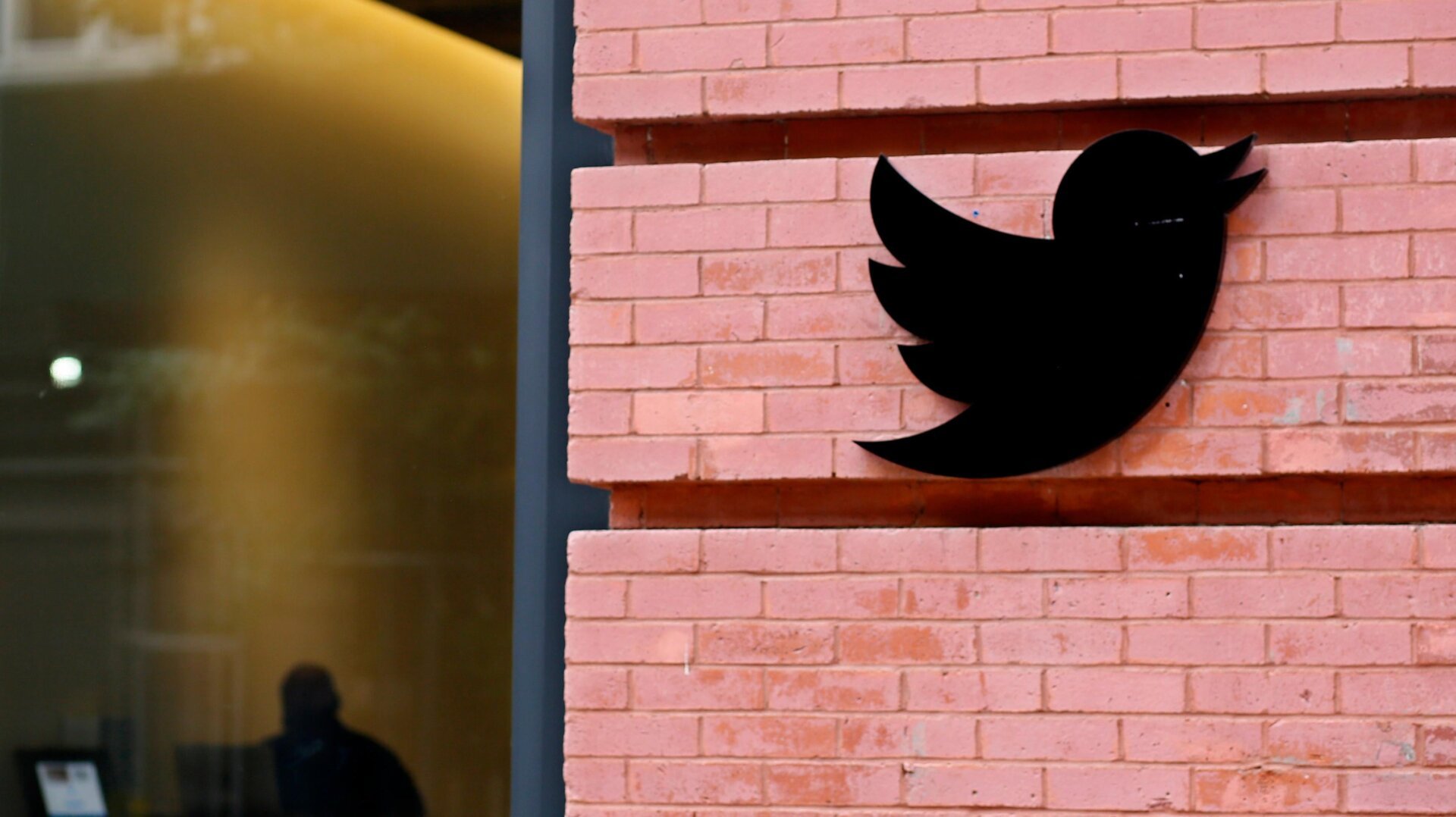 Twitter Is Getting Sued as Elon Musk's Mass Layoffs Start