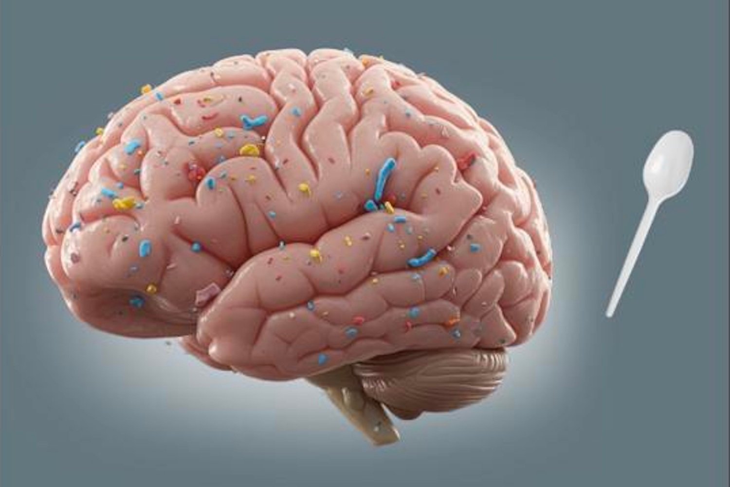 Microplastics Invading Our Brains Through Junk Food: A Silent Threat to Mental Health, Scientists Reveal