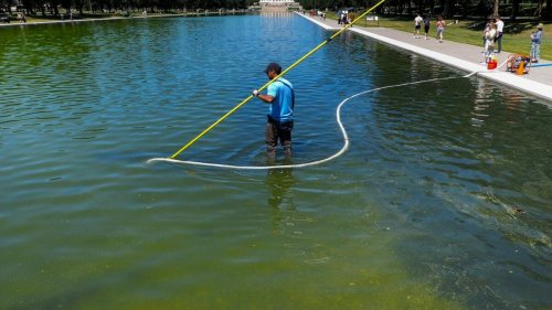 Trump Admin Declares Total Victory Over Algae Thanks to ‘Advanced Nanobubbler Technology’