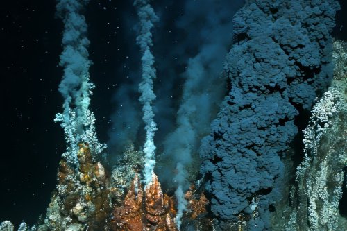 Intraterrestrials: The Most Alien Life We've Ever Seen Is Right Beneath Our Feet