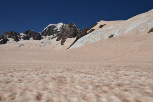 Why Snow in New Zealand’s Alps Turned an Alarming Shade of Red