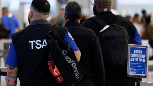Elon Musk Claims He ‘Would Like to Offer’ to Pay TSA Workers’ Salaries | Flipboard