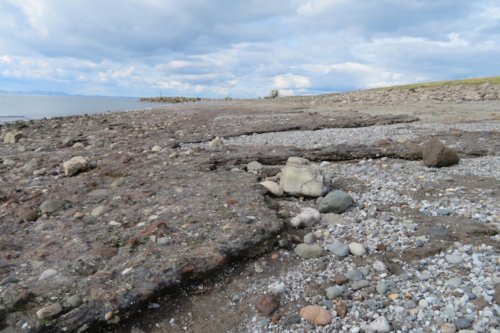 Industrial Waste Is Turning Into Rock in Just Decades, Study Suggests