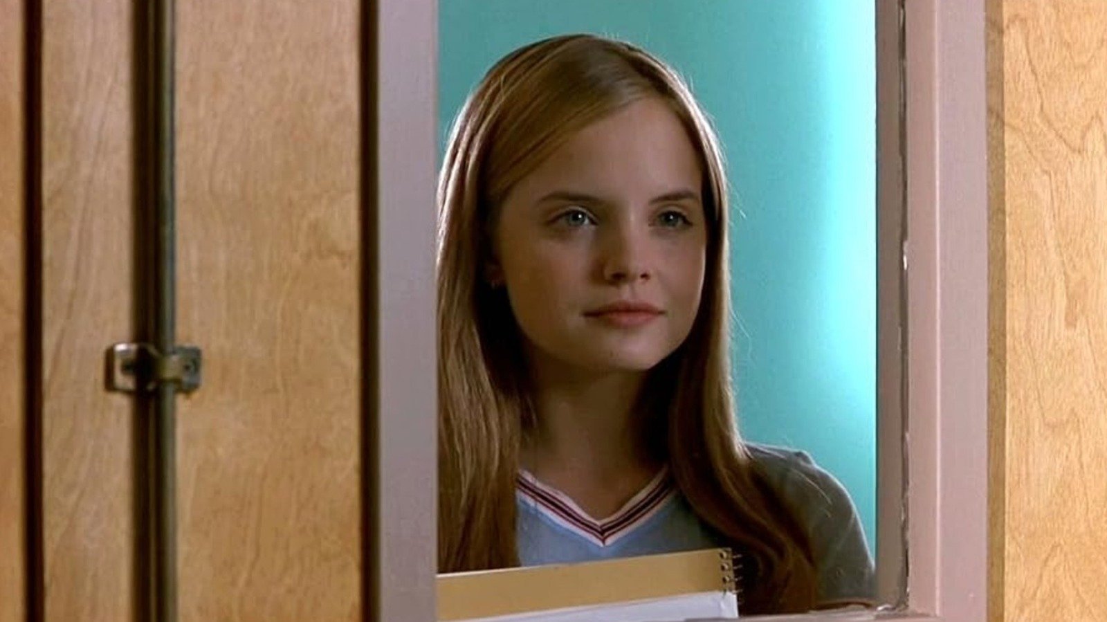 Remember Heather From American Pie? She's So Stunning Today