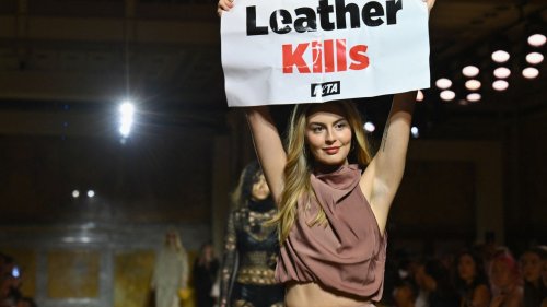 Another PETA Protestor Crashed a Fashion Show, and People Are Applauding How Security Handled It
