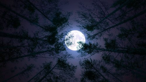 Vollmond November 2022: Blutmond und Mondfinsternis am 8. November bringen einen Energieschub aus dem Kosmos