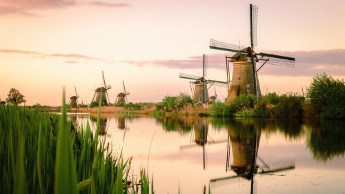 Urlaub in Holland: 5 Gründe, warum du im Spätsommer in die Niederlande reisen solltest