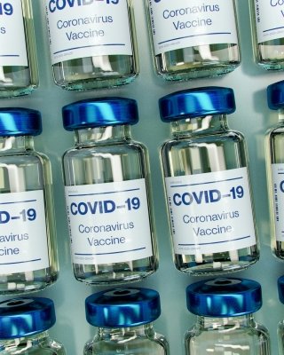Covid vax likely safe for patients treated for hypothyroidism