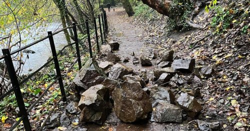Glasgow's Linn park to get over £12,000 funding for improvements