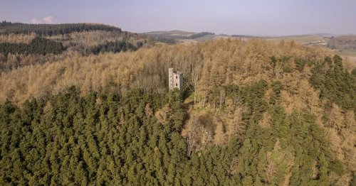 Scottish gothic tower with stunning panoramic countryside views on sale for just £80k