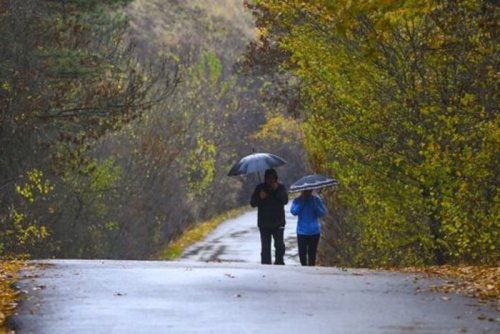 У більшості областей України дощитиме: прогноз погоди на 22 вересня