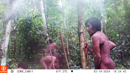 Isolados do Massaco: imagens inéditas revelam etnia da Amazônia jamais vista