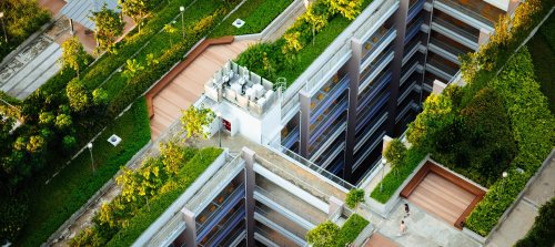 6 Ways Green Roofs Protect Cities From Climate Change