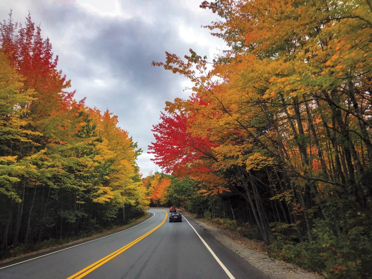 Five Tips for Fall Road Trip Safety in Ontario