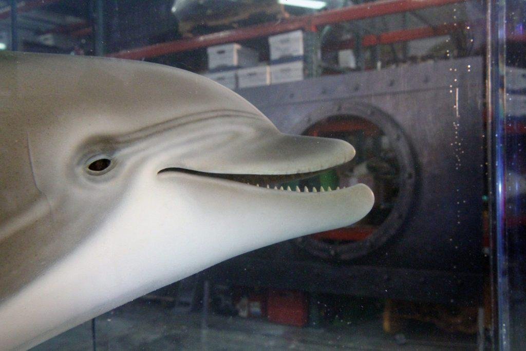 News: The Robot Dolphin that Could Replace Captive Animals at Theme Parks One Day  GLOBAL HEROES MAGAZINE